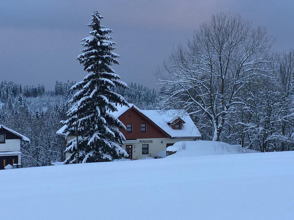 Penzion Zrzka โกเชนอฟ ภายนอก รูปภาพ