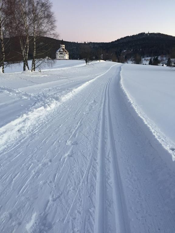 Penzion Zrzka โกเชนอฟ ภายนอก รูปภาพ